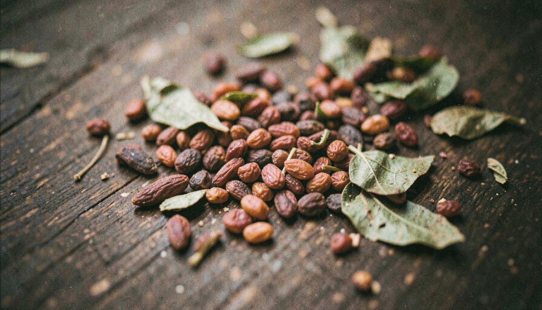 A grainy analog film photograph of scattered raw cacao beans, goji berries, and dried green leaves on a dark wooden surface, warm earthy browns and muted reds, moody natural light.